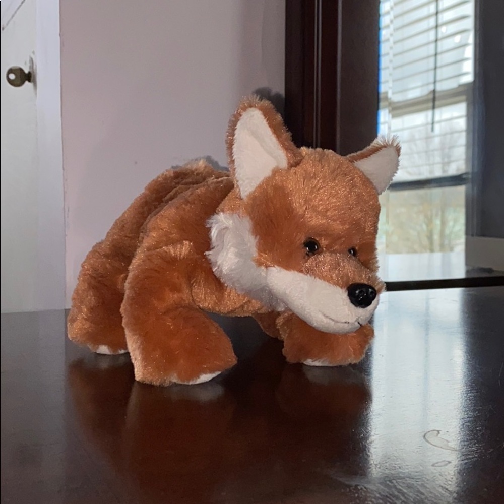 ADORABLE BRAND NEW FOX! Help give him a home❤️❤️